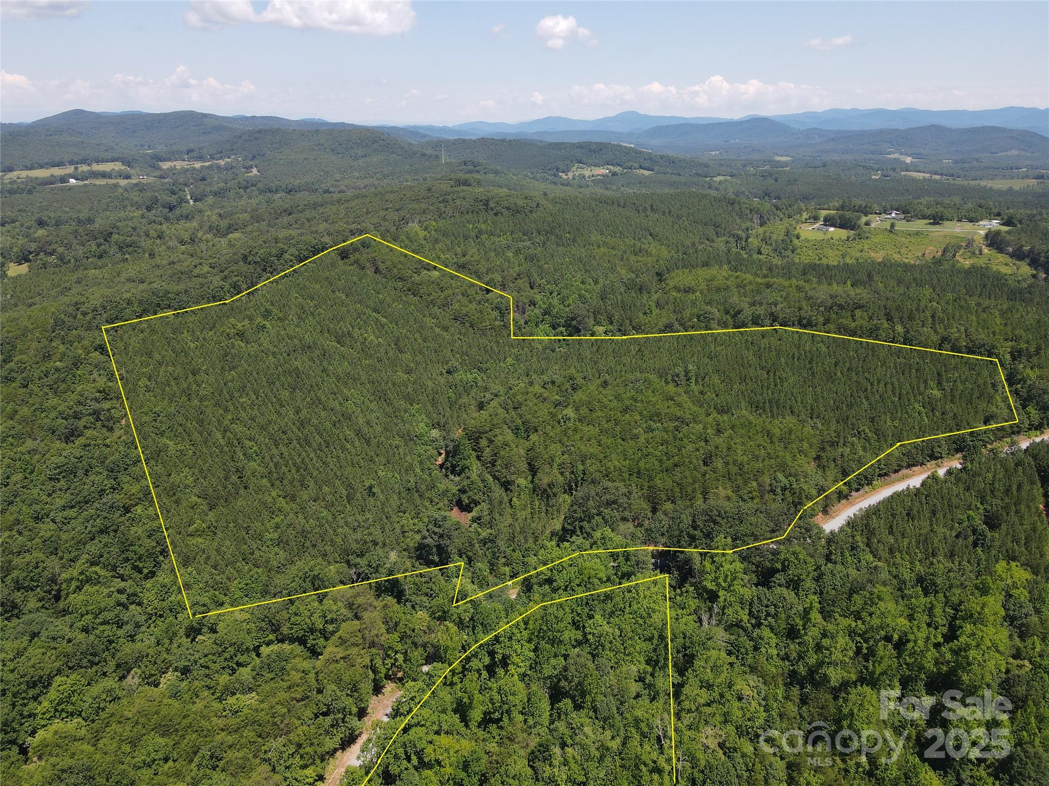 0 Irvin Road Ellenboro, NC 28040 - Photo 9 of 29