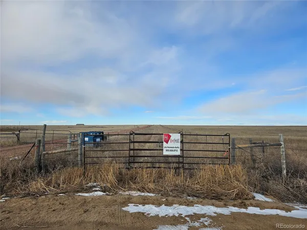 a view of a dry yard
