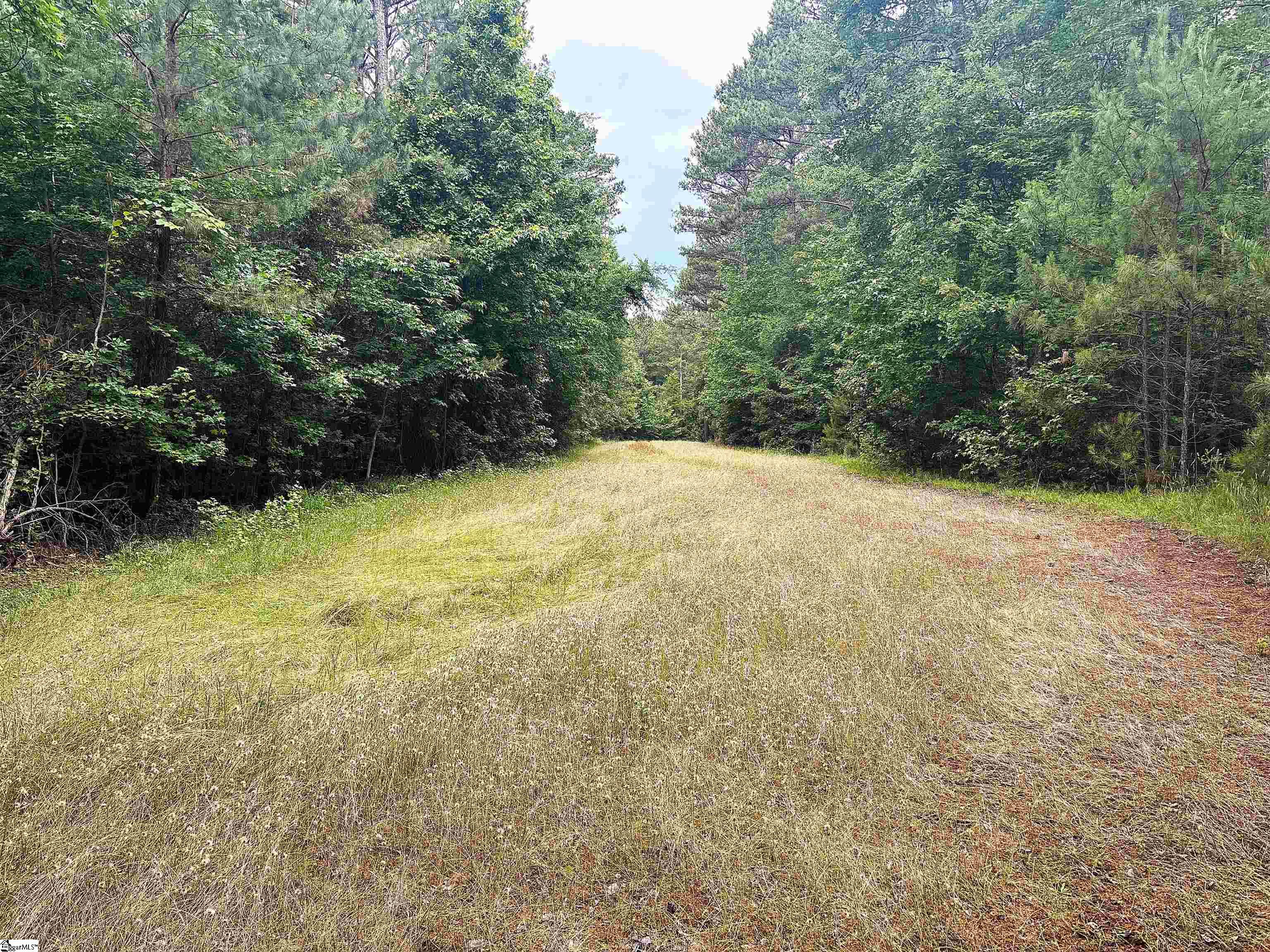 1087 Bobby Faucette Road Jonesville, SC 29353 - Photo 8 of 47