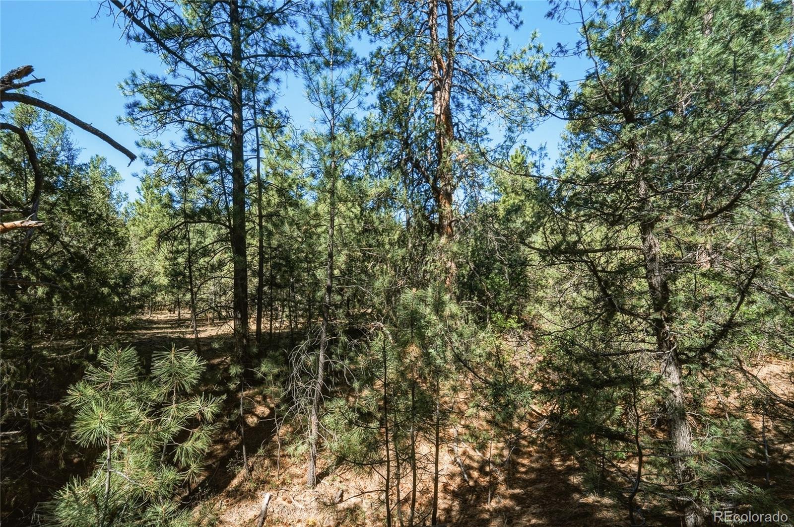 93 Blackhawk Ranch Walsenburg, CO 81089 - Photo 26 of 44