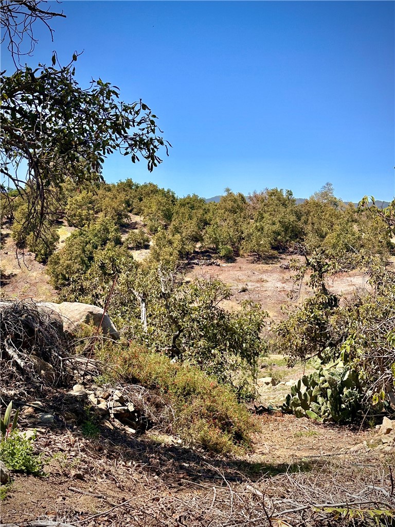 0 Las Palmeras Drive Temecula, CA 92590 - Photo 23 of 26