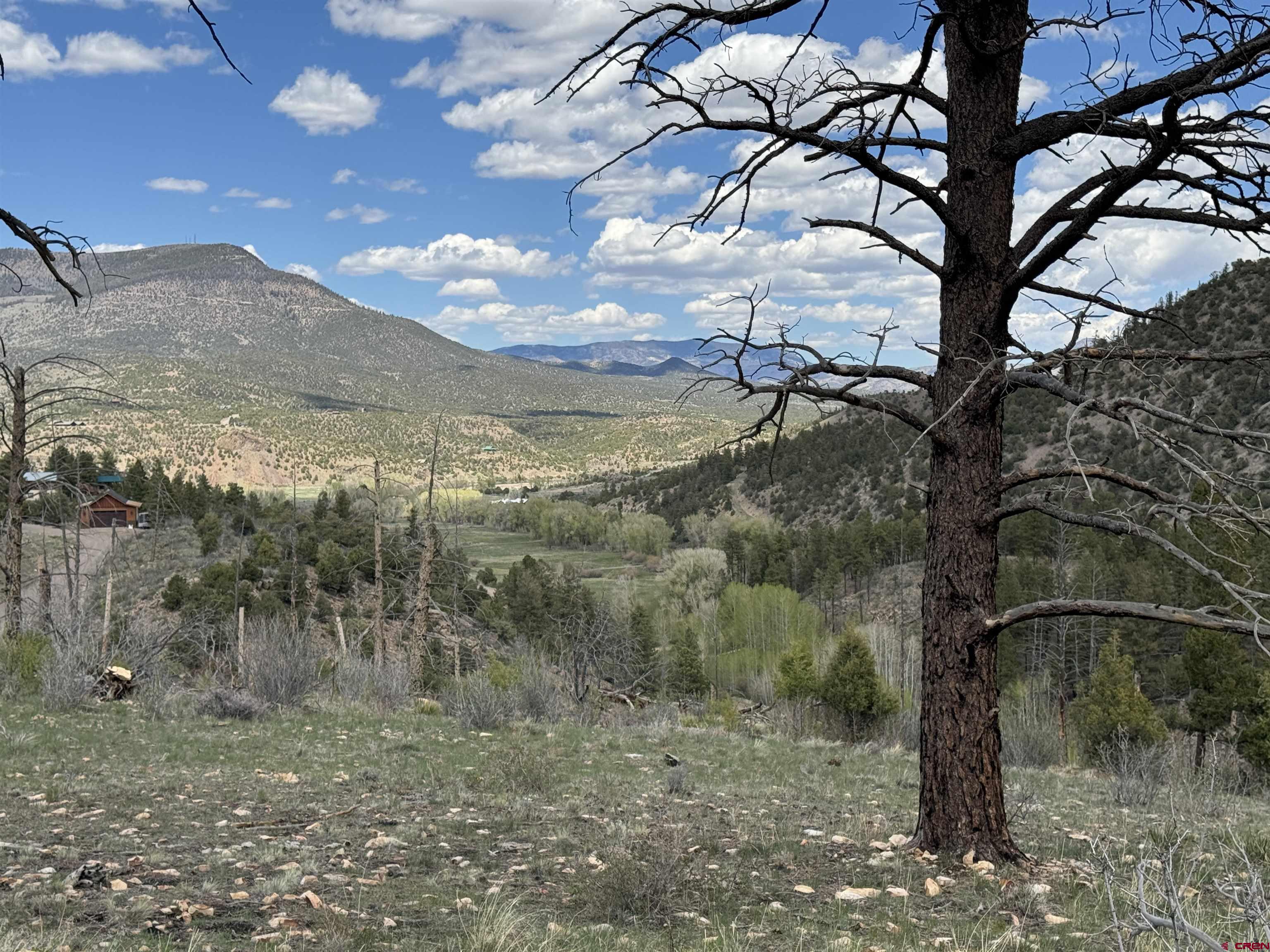 150 Rickel Circle South Fork, CO 81154 - Photo 10 of 11