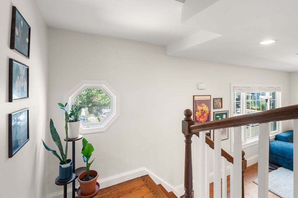 16 Plainfield Street Boston, MA 02130 - Photo 13 of 32 Gallery Image 13
