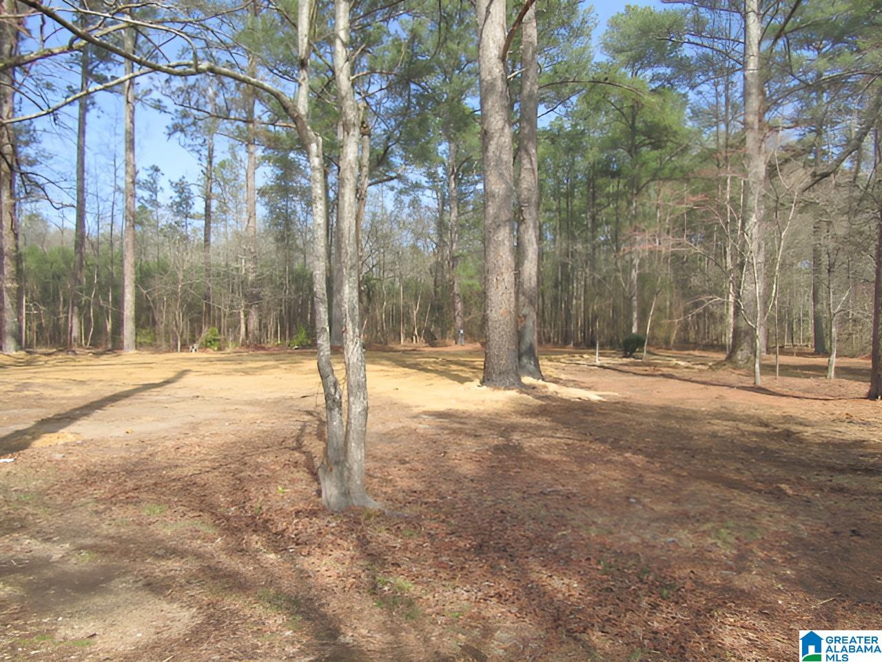 4429 Roy Webb Road Jacksonville, AL 36265 - Photo 19 of 26