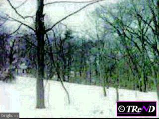 1725 Mt Pleasant Road Villanova, PA 19085 - Photo 1 of 1 a view of a yard