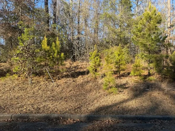 $25,000 | 0 Pierces Station, Ozark, AL 36360