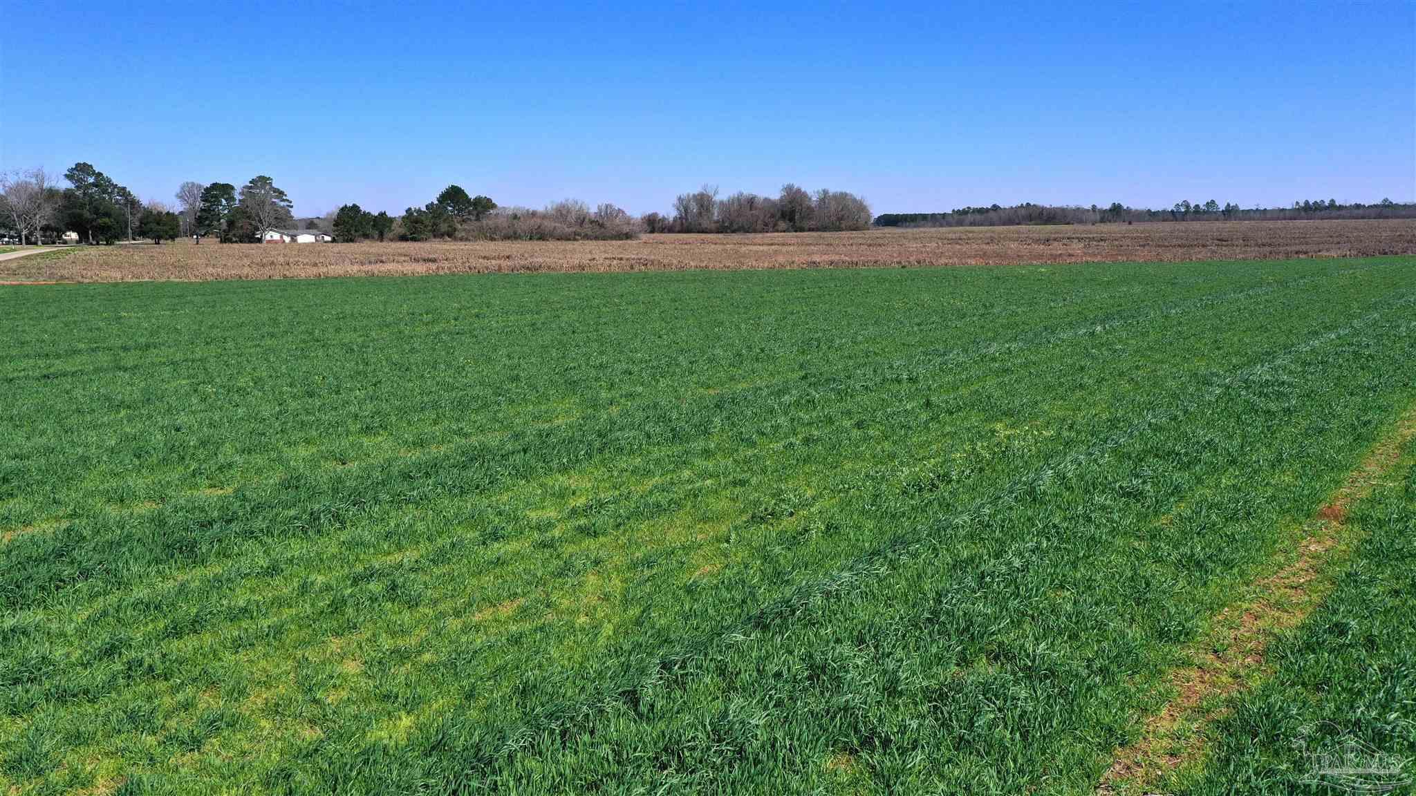 Lot 11 Mccullough Road Atmore, AL 36502 - Photo 1 of 13