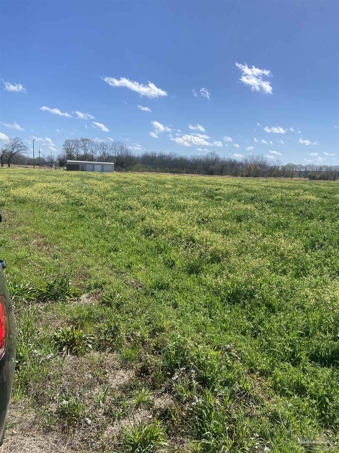 Lot 11 Mccullough Road Atmore, AL 36502 - Photo 5 of 13