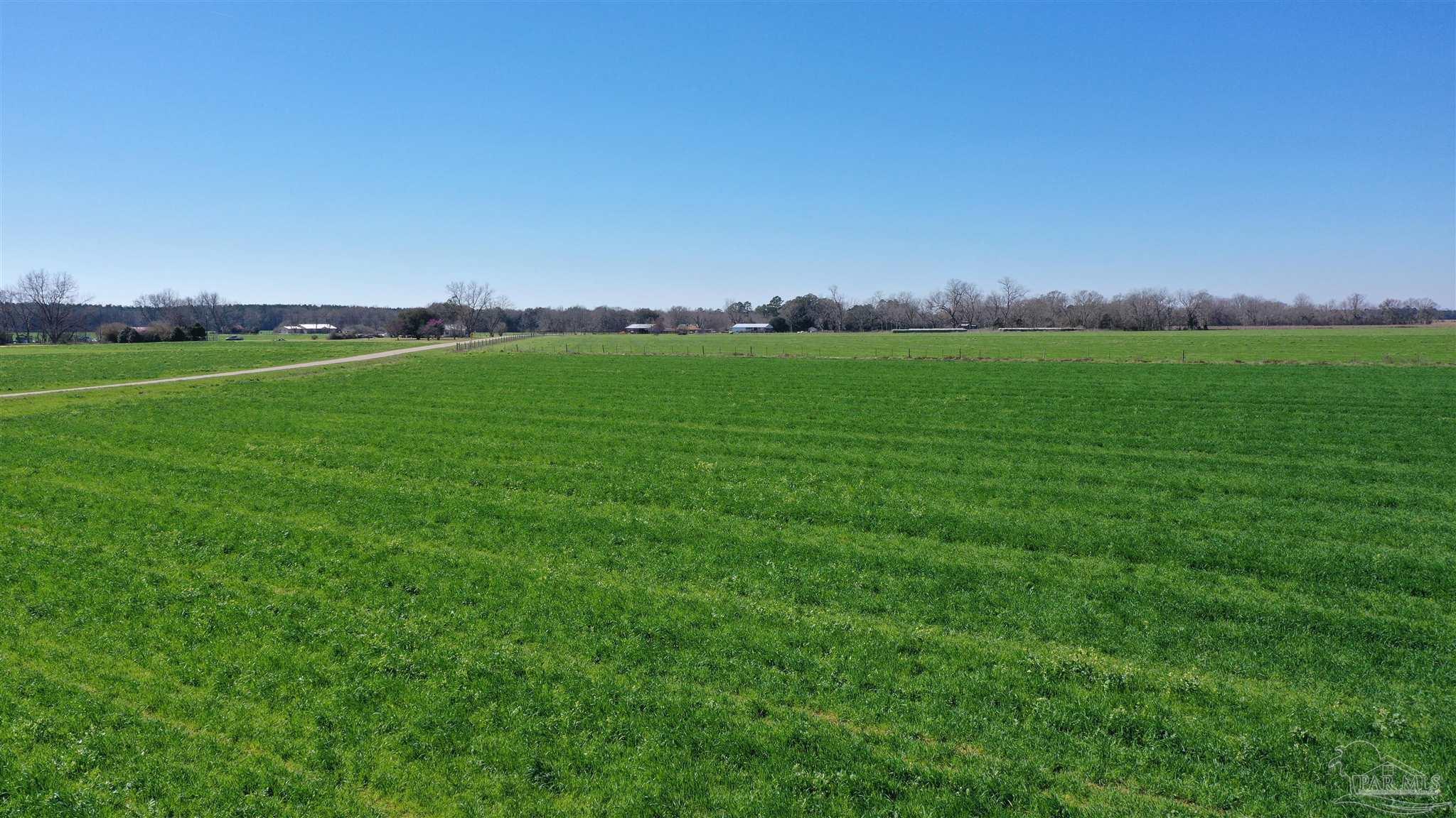 Lot 11 Mccullough Road Atmore, AL 36502 - Photo 7 of 13
