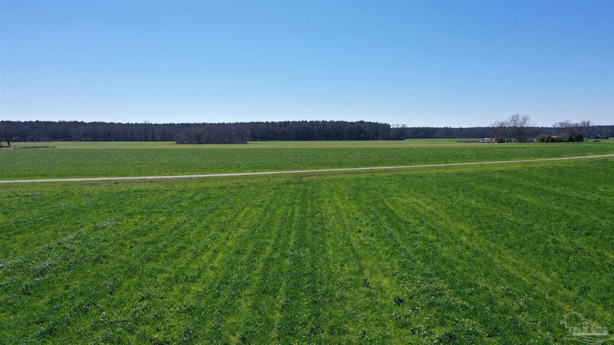 Lot 11 Mccullough Road Atmore, AL 36502 - Photo 10 of 13
