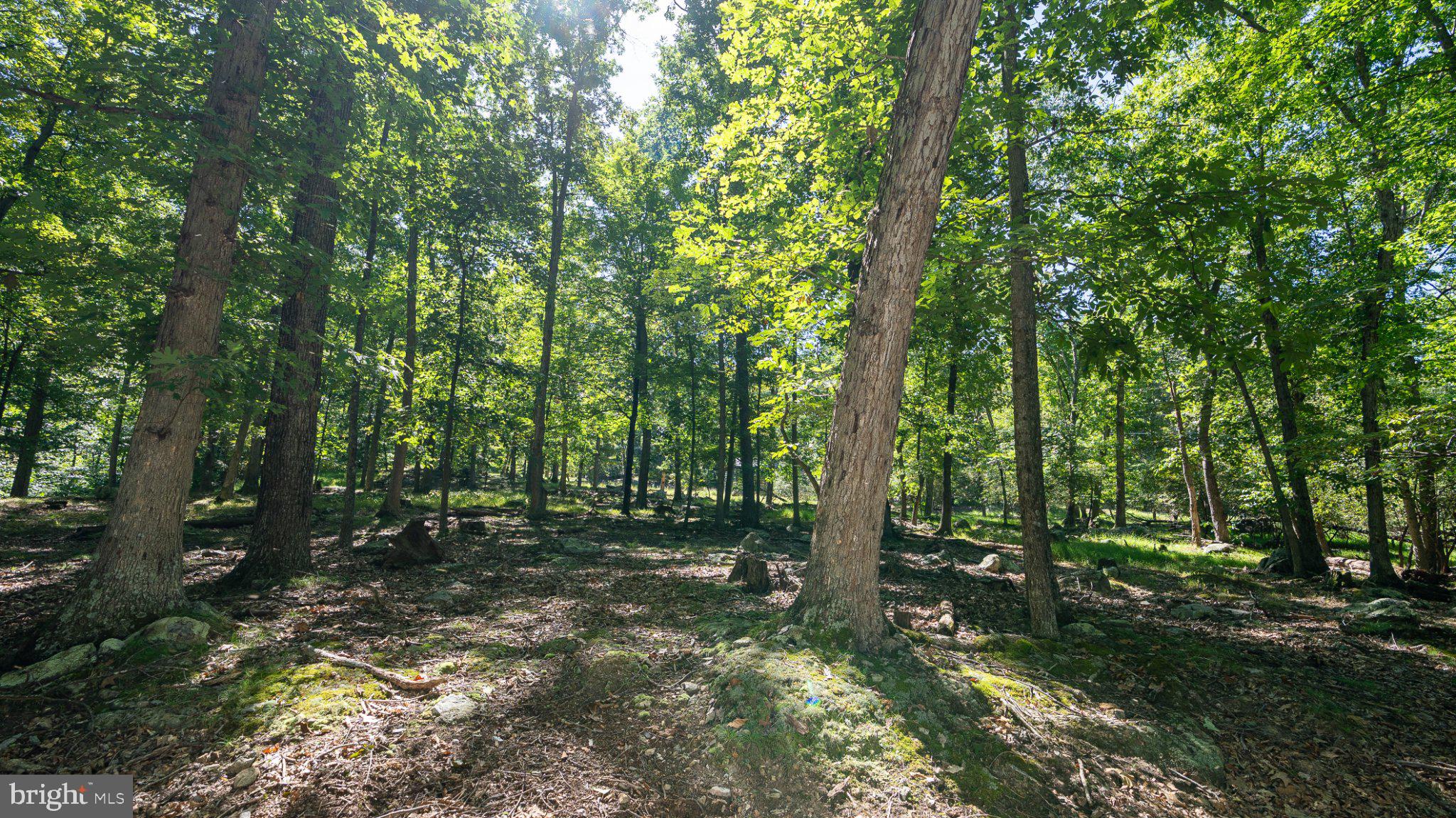 229 Inspiration Road Upper Tract, WV 26866 - Photo 11 of 30 Gallery Image 11