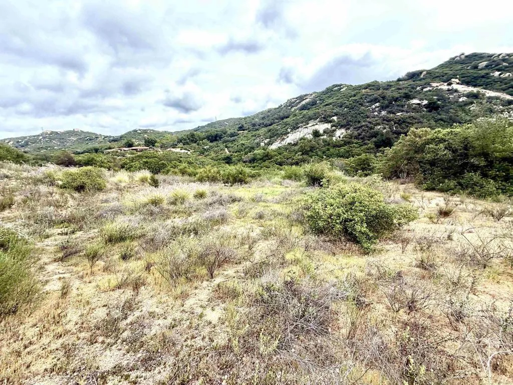 0 Mt Olympus Valley Road Fallbrook, CA 92028 - Photo 45 of 50