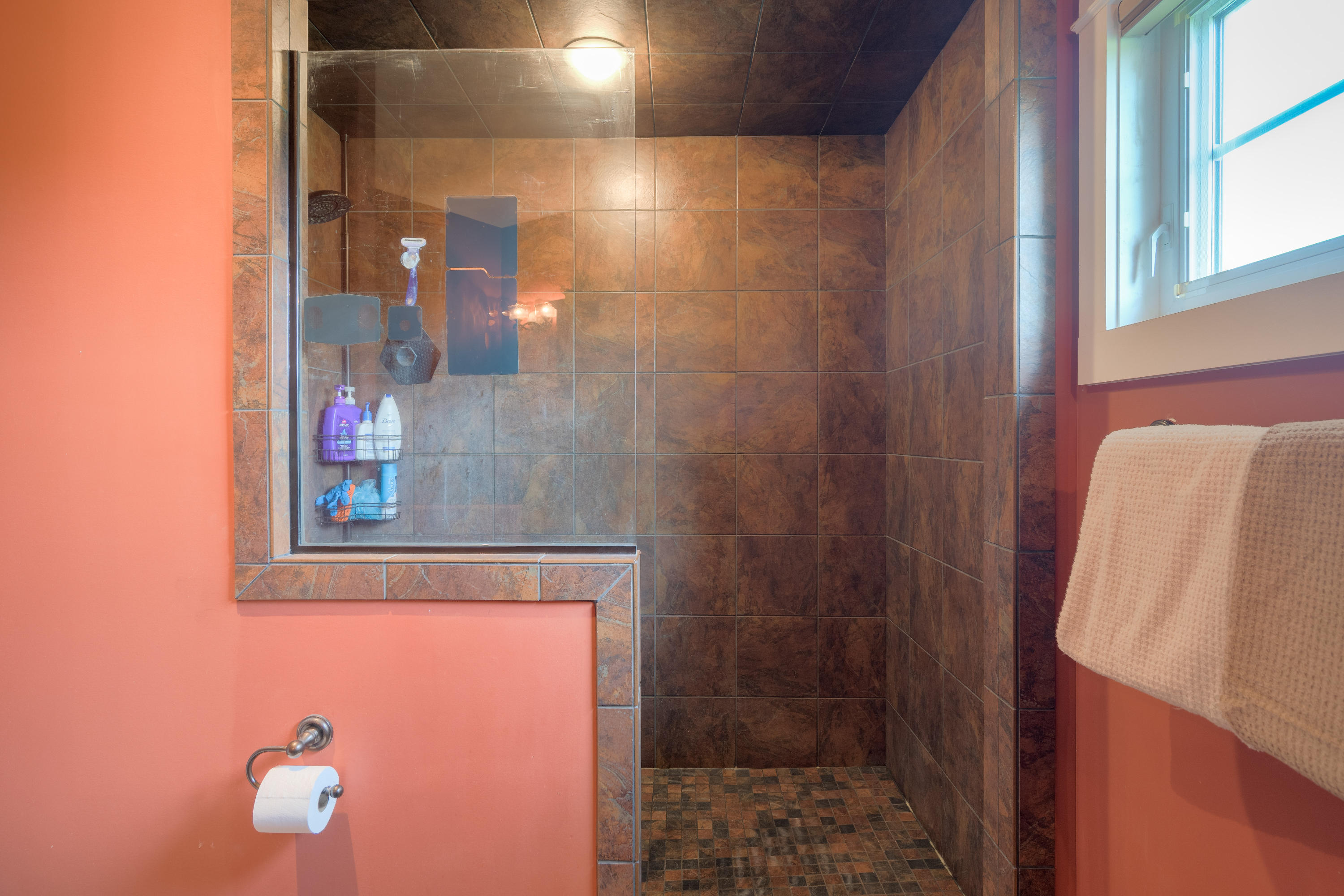 1839 Blue Ridge Springs Road Blue Ridge, VA 24064 - Photo 40 of 68 a bathroom with a shower