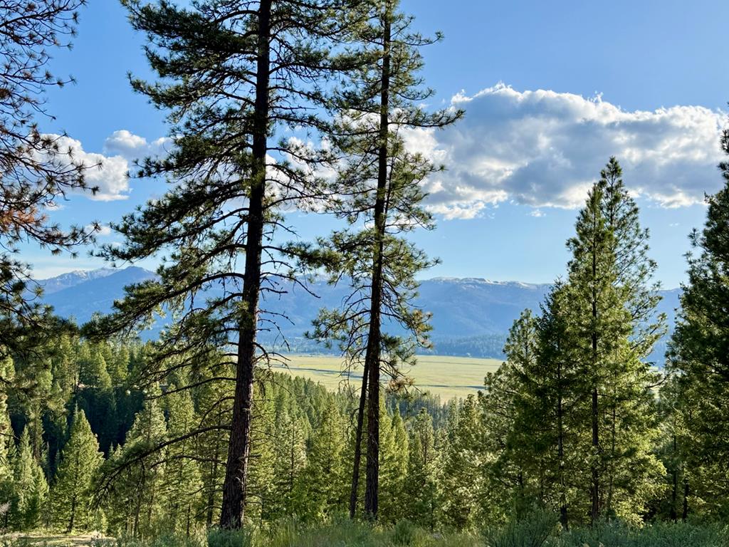 18 Tito Trail, Unit 8 Cascade, ID 83611 - Photo 1 of 10 Main View