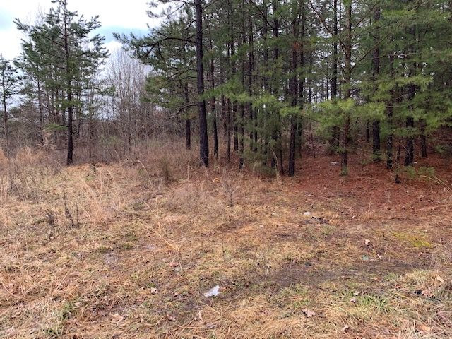 Country Club Road Roxboro, NC 27574 - Photo 3 of 5 Photo 3