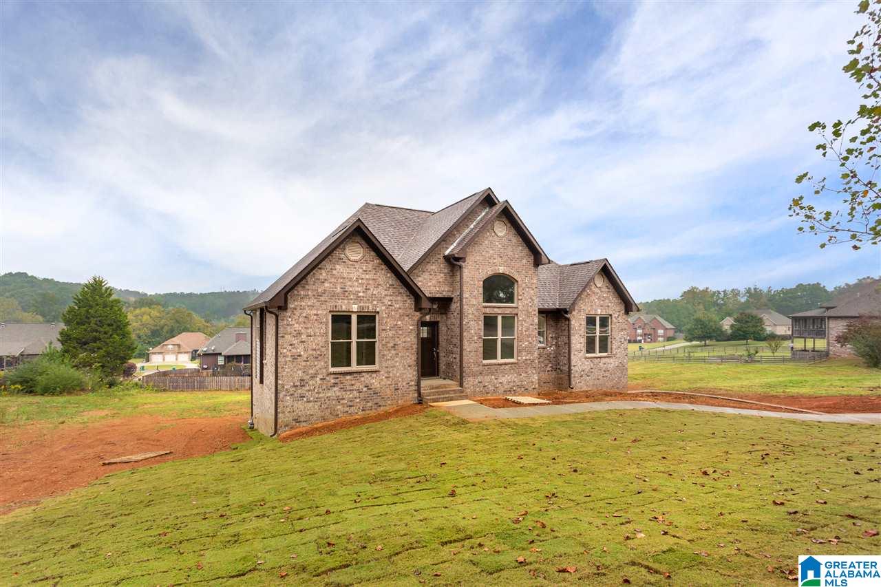 1650 Village Springs Road Springville, AL 35146 - Photo 38 of 38