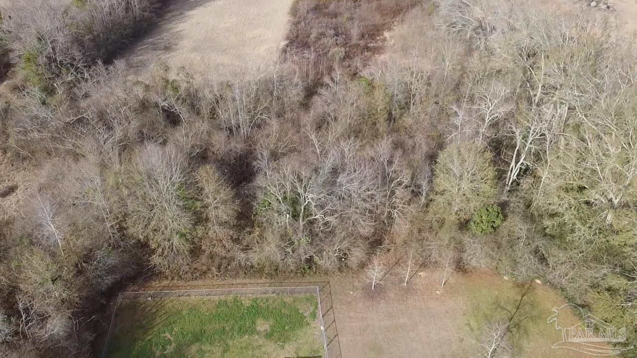 1482 Smith Dairy Road Atmore, AL 36502 - Photo 23 of 34 a view of a yard