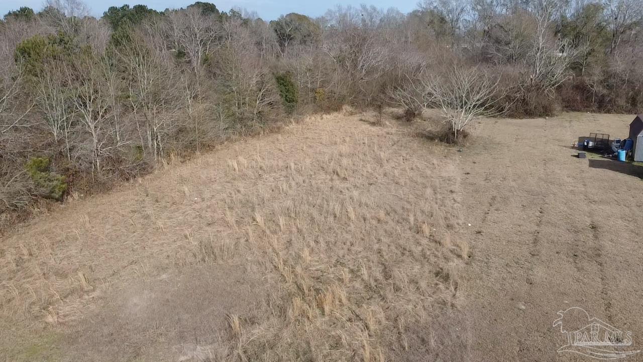 1482 Smith Dairy Road Atmore, AL 36502 - Photo 30 of 34 a view of a dry yard with trees