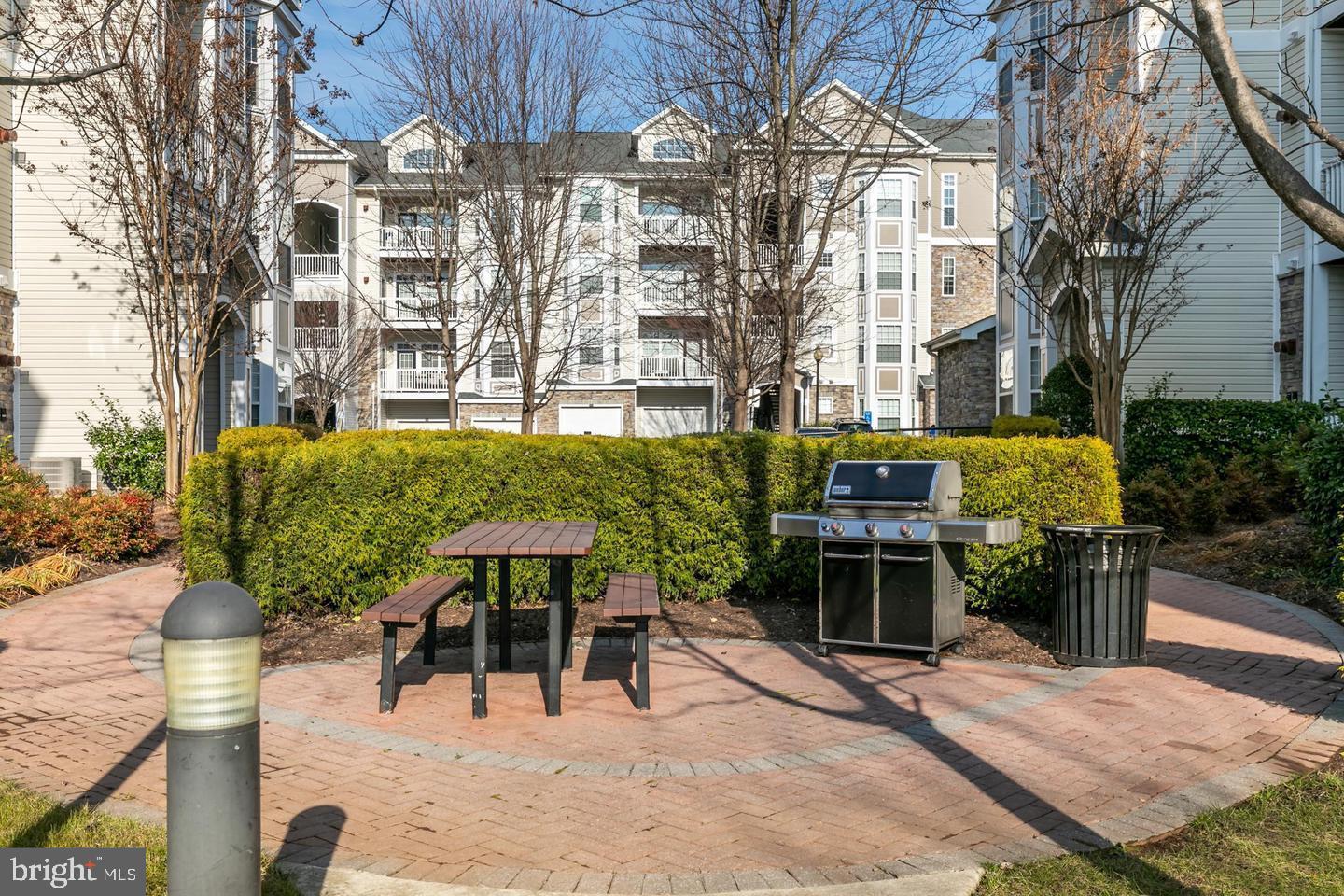 501 Sunset View Terrace Southeast, Unit 101 Leesburg, VA 20175 - Photo 23 of 31 One of many picnic areas in the community