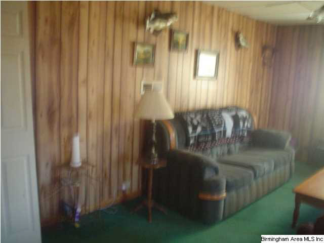 4625 Highway 24 Springville Al Springville, AL 35146 - Photo 4 of 29