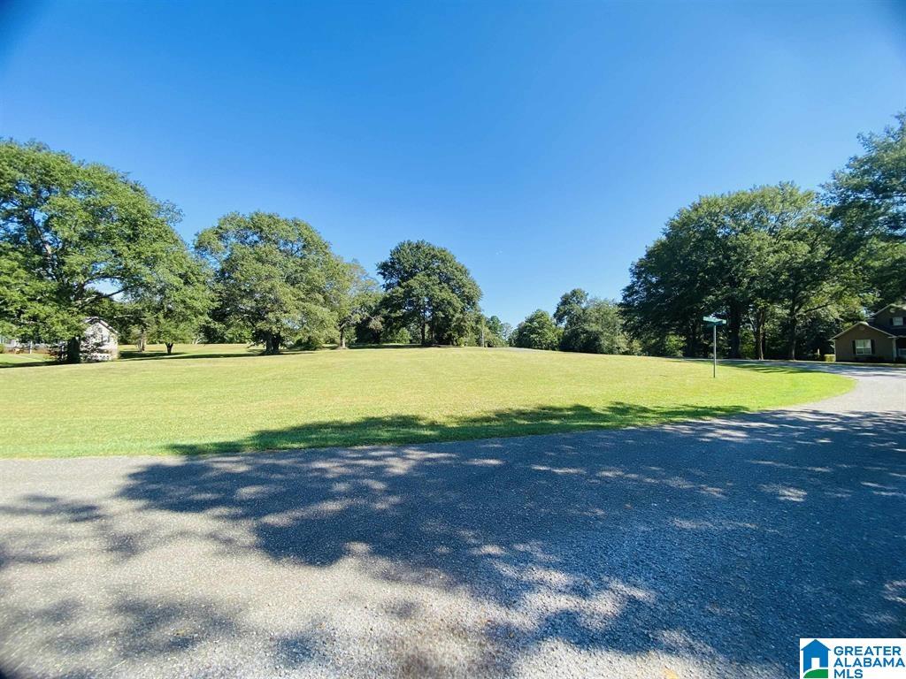 Carleton Point Lane, Unit 3 Wilsonville, AL 35186 - Photo 7 of 10