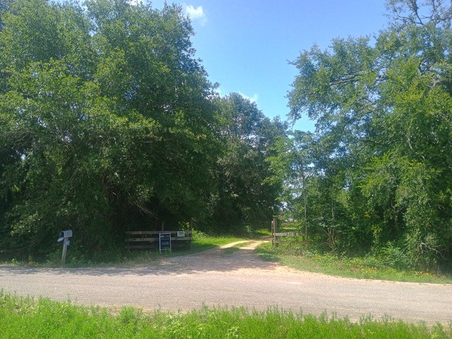 a view of backyard with green space