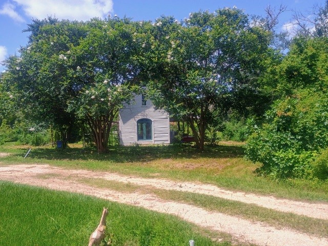 38241 Wiggins Road Hempstead, TX 77445 - Photo 3 of 48 a view of backyard of house with green space