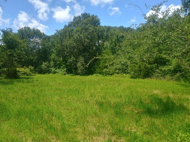 38241 Wiggins Road Hempstead, TX 77445 - Photo 6 of 48