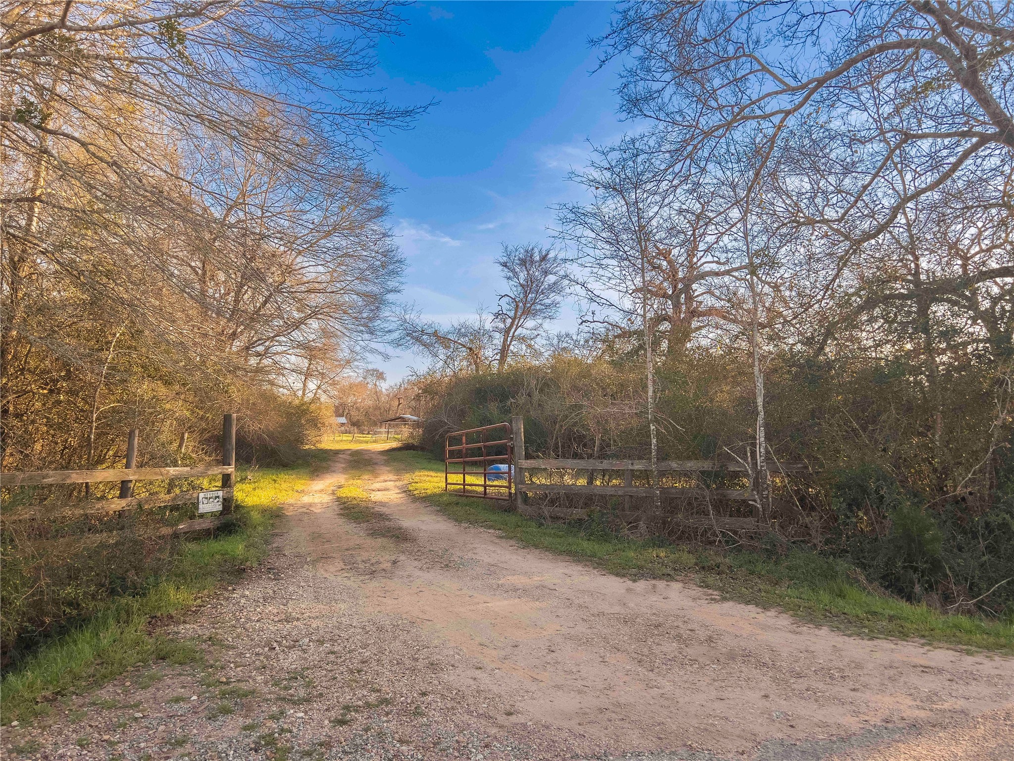 38241 Wiggins Road Hempstead, TX 77445 - Photo 7 of 48 a view of a road with large trees