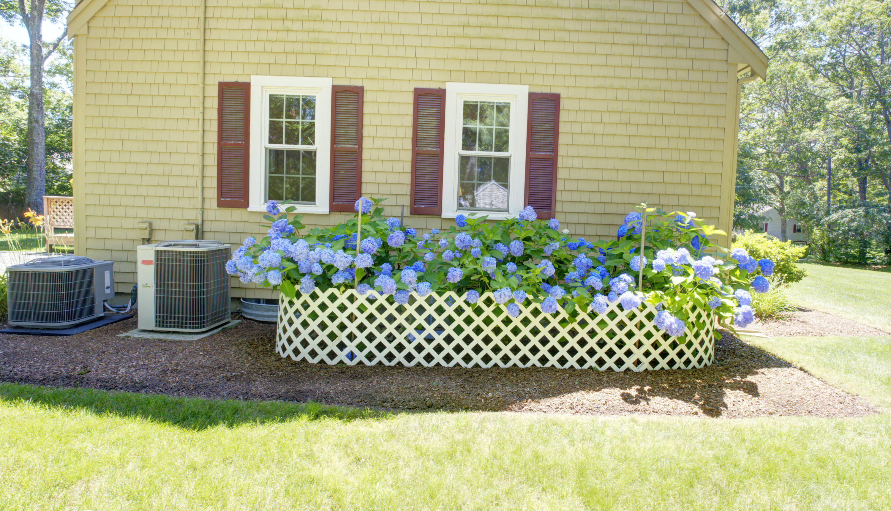 47 Simmons Road, Unit 47 East Falmouth, MA 02536 - Photo 5 of 46 Hydrangeas