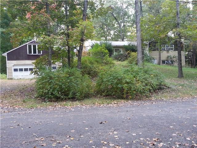 a view of a yard with plants and trees