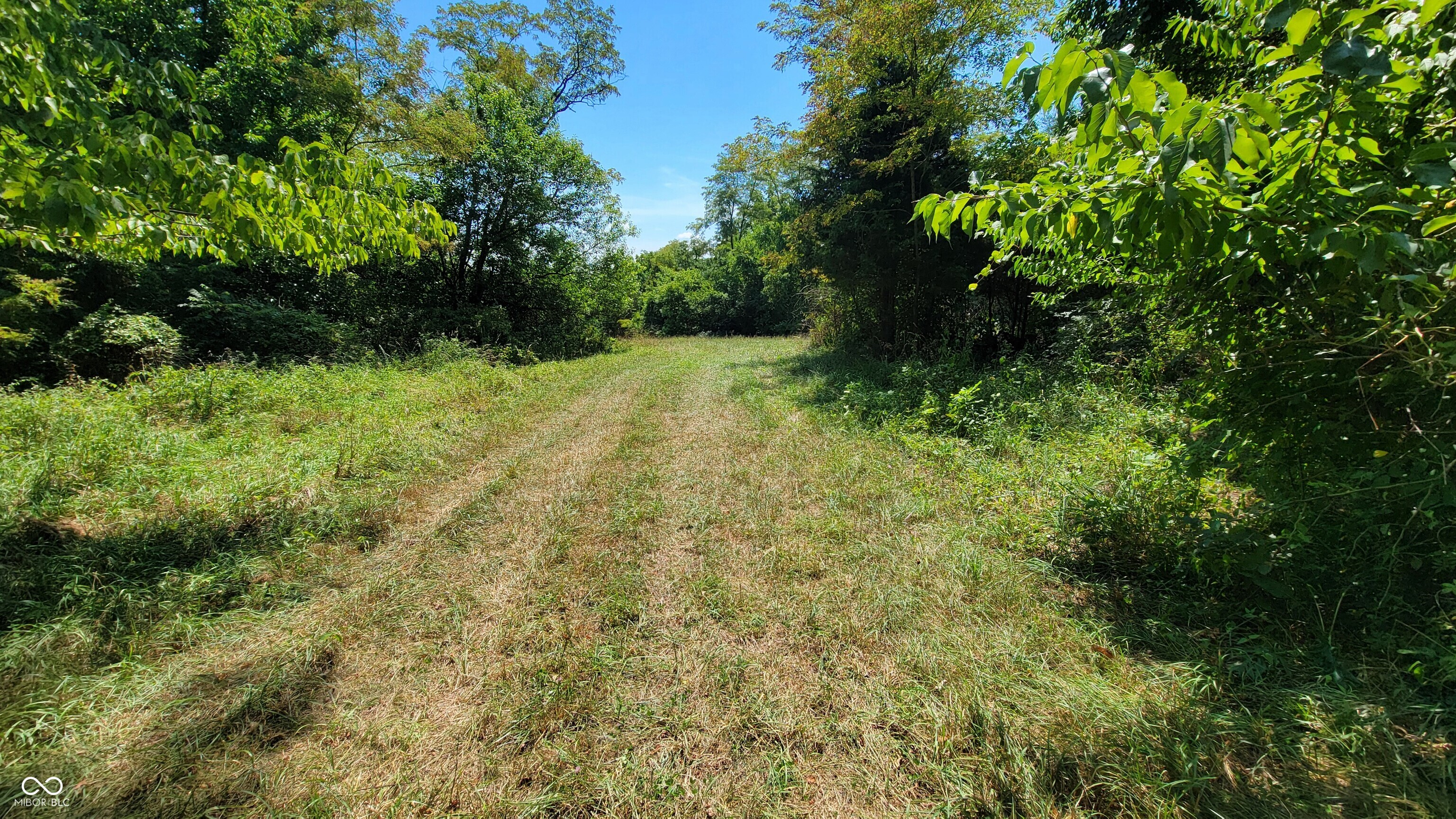 6494 Tapps Ridge Road Vevay, IN 47043 - Photo 7 of 41