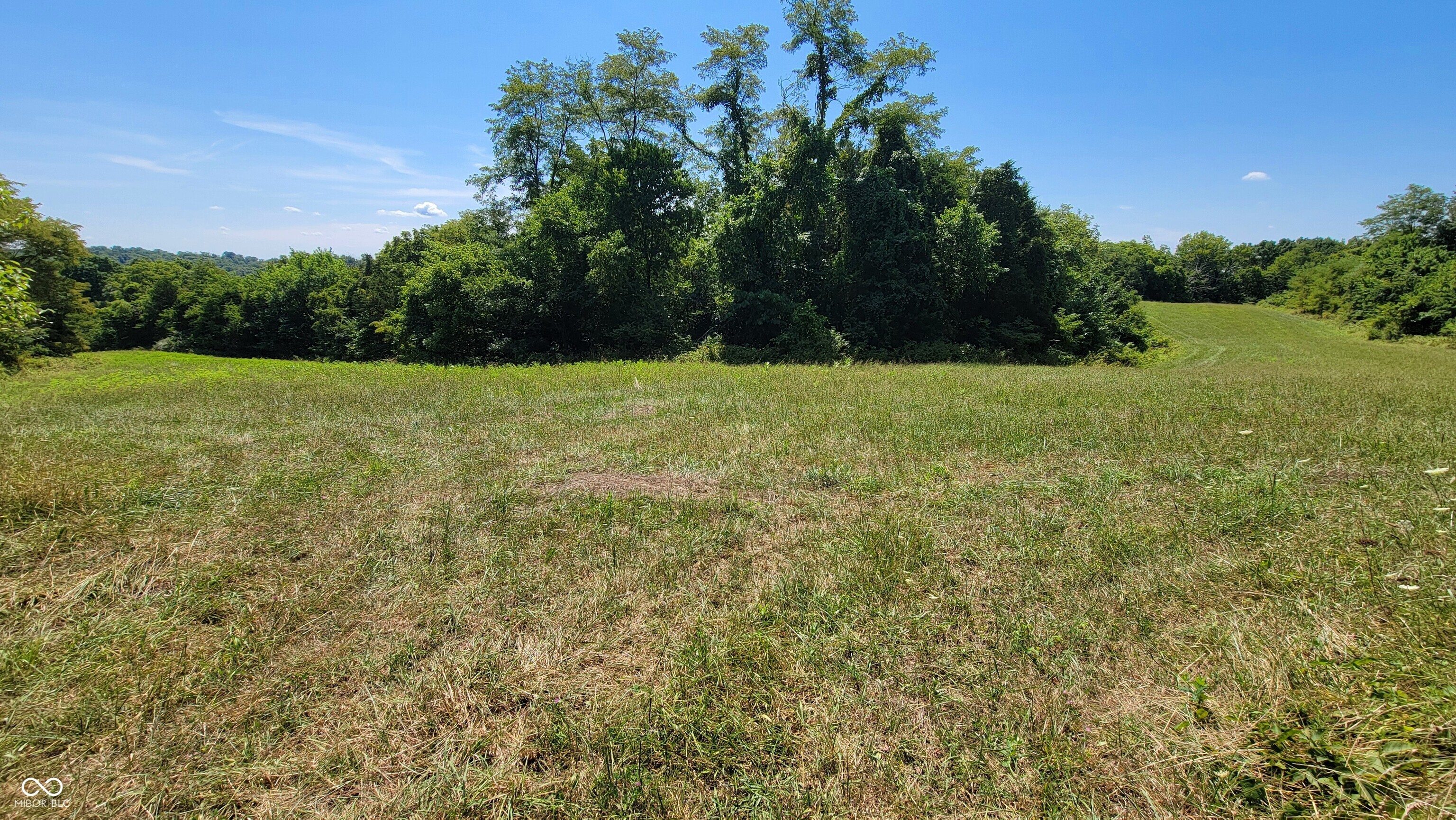 6494 Tapps Ridge Road Vevay, IN 47043 - Photo 8 of 41