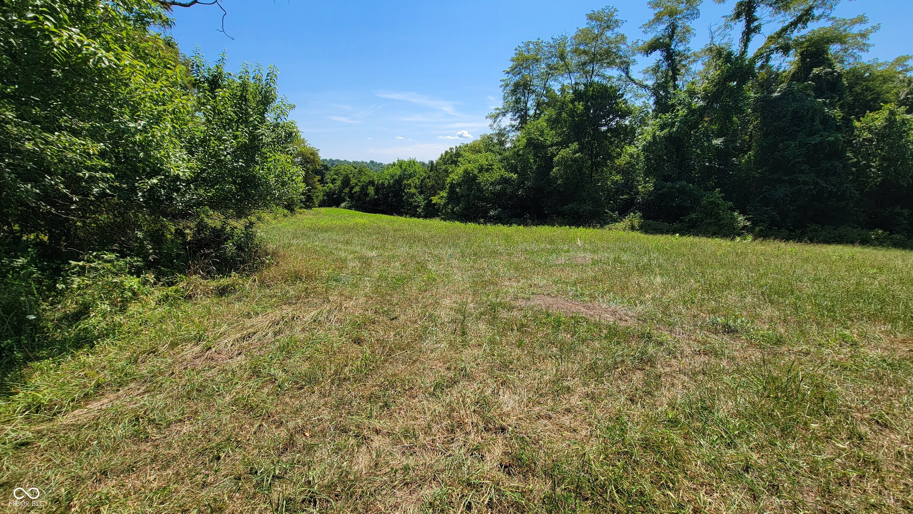 6494 Tapps Ridge Road Vevay, IN 47043 - Photo 9 of 41