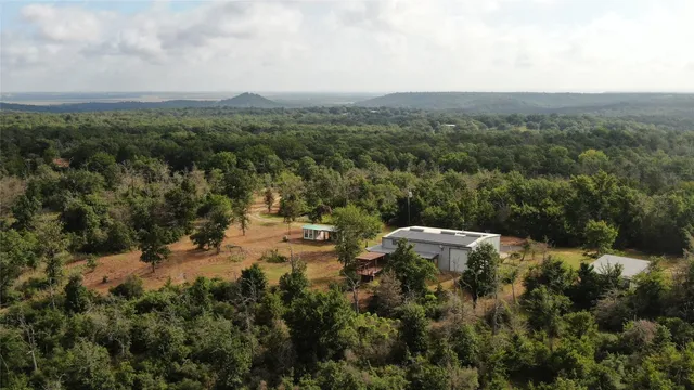 a view of a city with lush green forest