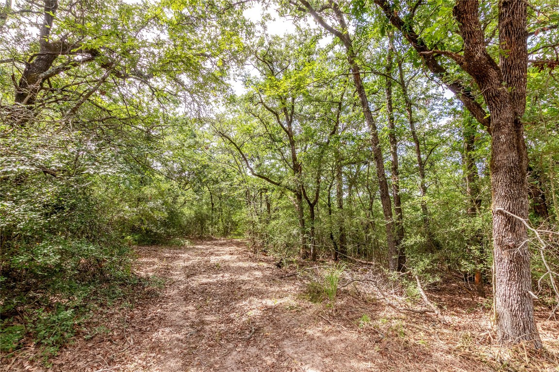 1004 22 Hills Road Gause, TX 77857 - Photo 36 of 40 a view of outdoor space and trees