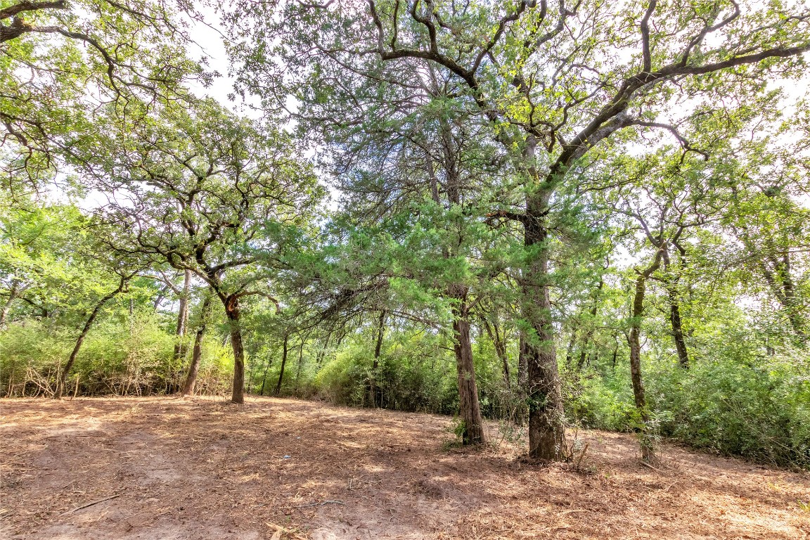1004 22 Hills Road Gause, TX 77857 - Photo 38 of 40 a view of a field with trees in front of it