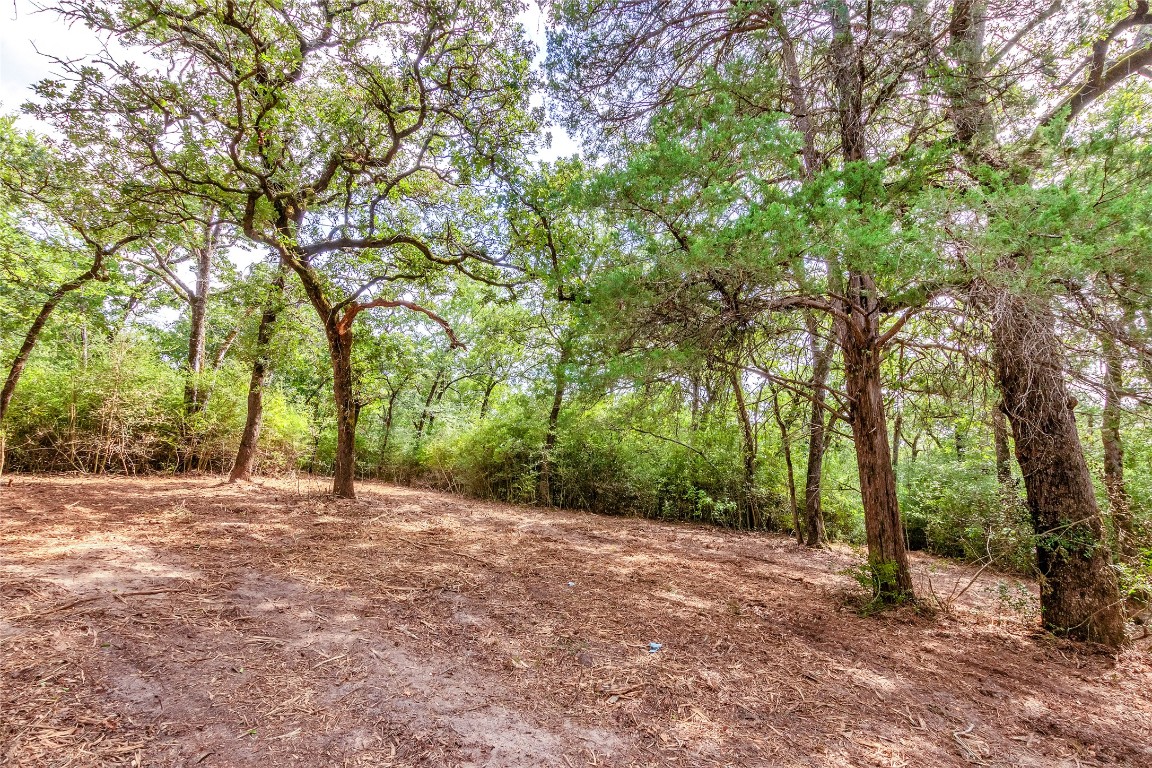 1004 22 Hills Road Gause, TX 77857 - Photo 39 of 40 a backyard of a house with large trees