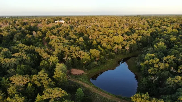 a view of backyard with green space