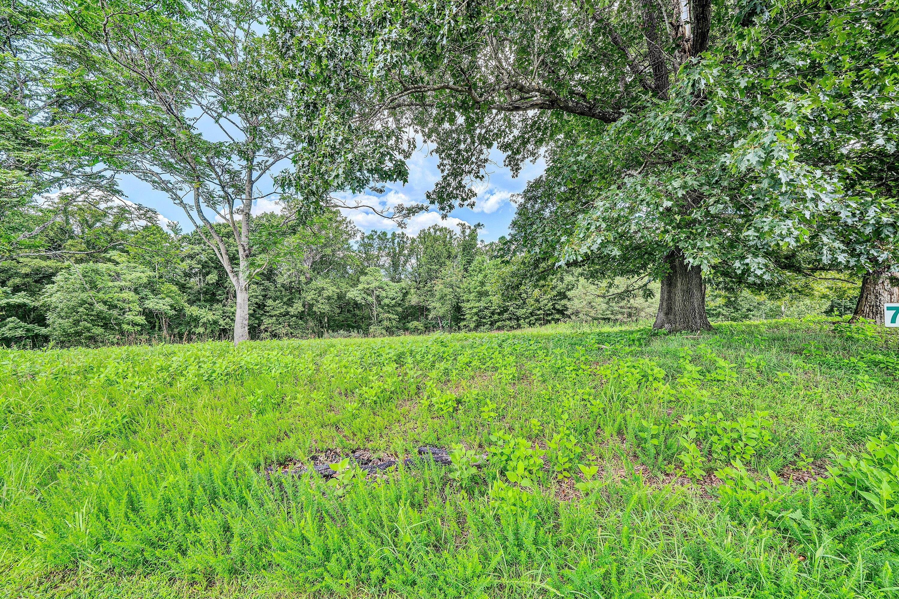 Lot 7 River Rock Road Vinton, VA 24179 - Photo 3 of 9 a green field with lots of bushes