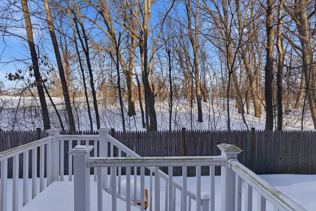 80 Swan Street, Unit 223 Lowell, MA 01852 - Photo 17 of 20 a view of backyard with deck and trees
