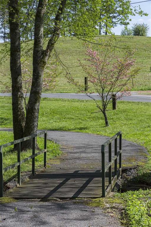 2899 Double S Road Dayton, TN 37321 - Photo 50 of 51 50