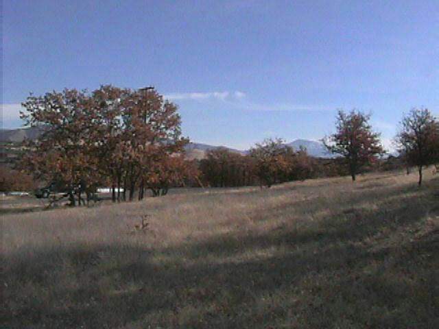 656 Racoon Court Hornbrook, CA 96044 - Photo 2 of 2 Gallery Image 2