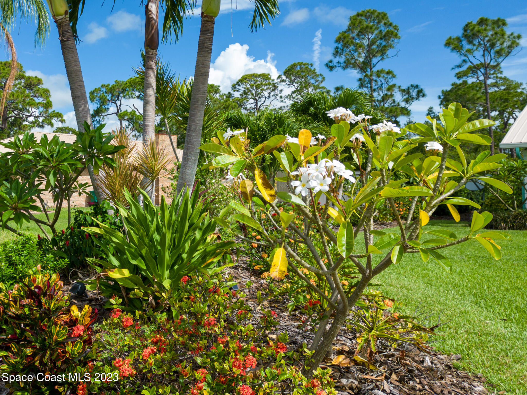 2900 Pine Branch Drive Melbourne, FL 32940 - Photo 38 of 48 20230526 2900 Pine Branch Dr Melbourne P