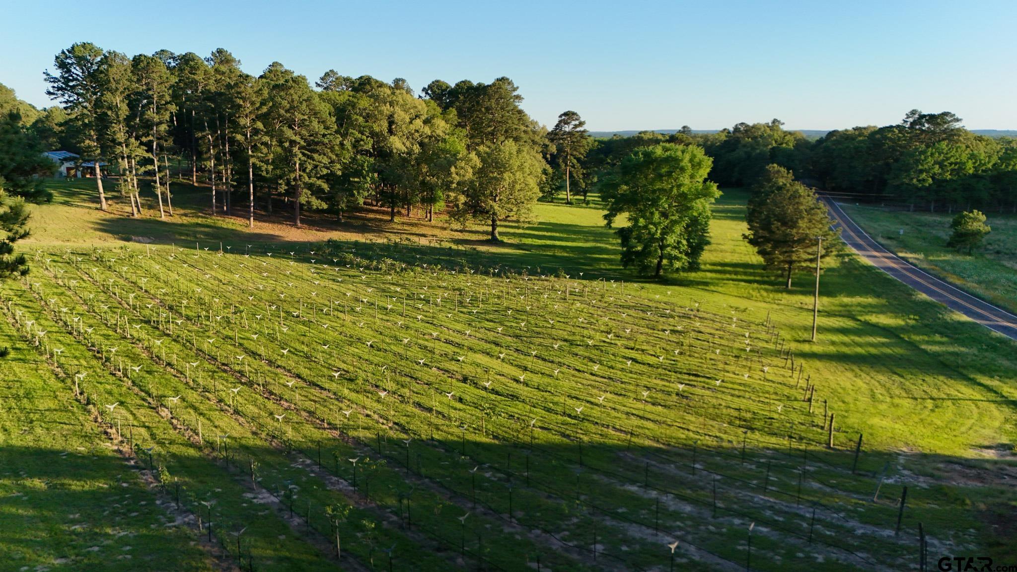 0 County Road 2680 Hawkins, TX 75765 - Photo 26 of 38