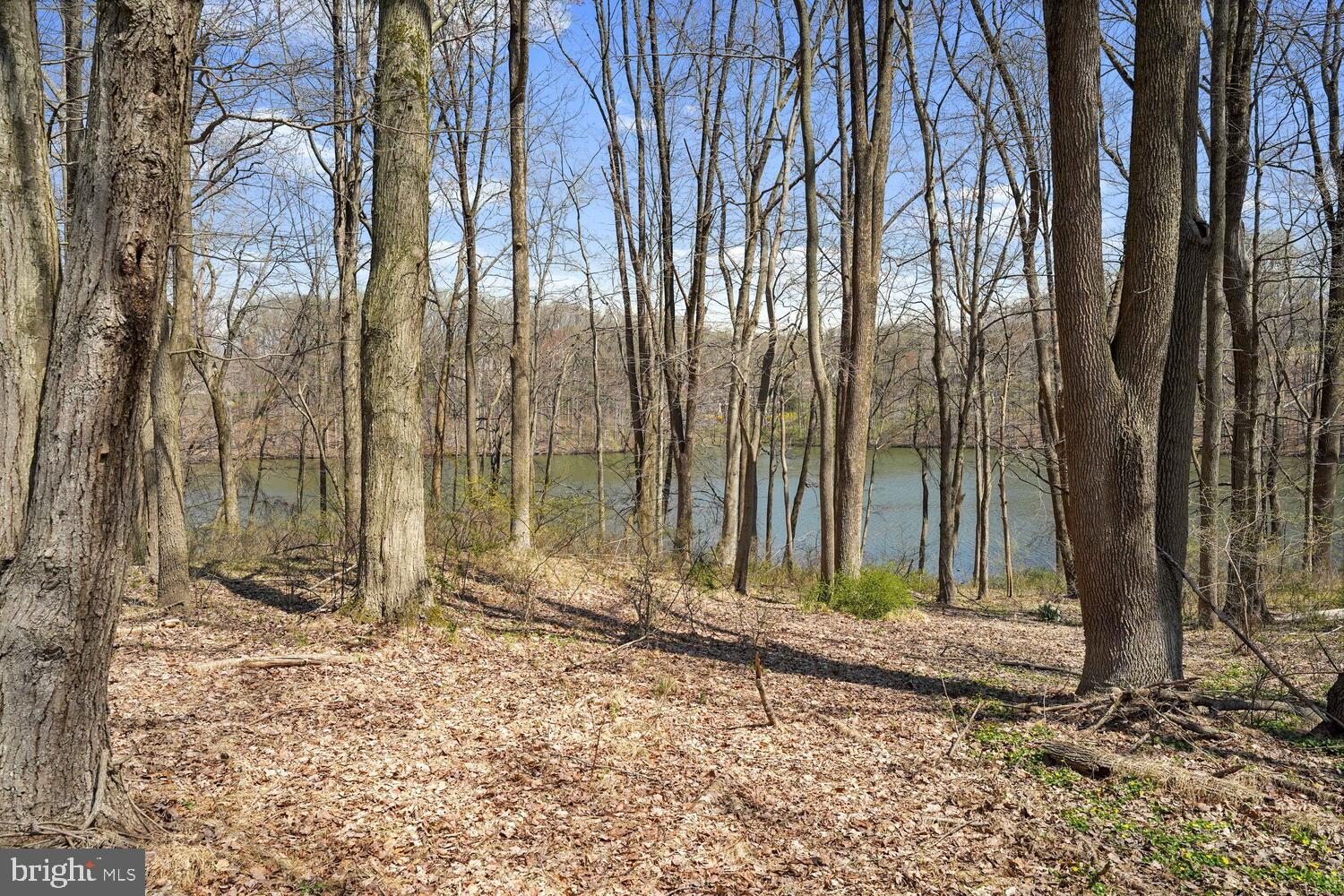 134 Springton Lake Road Media, PA 19063 - Photo 78 of 99 a backyard of a house with lots of green space