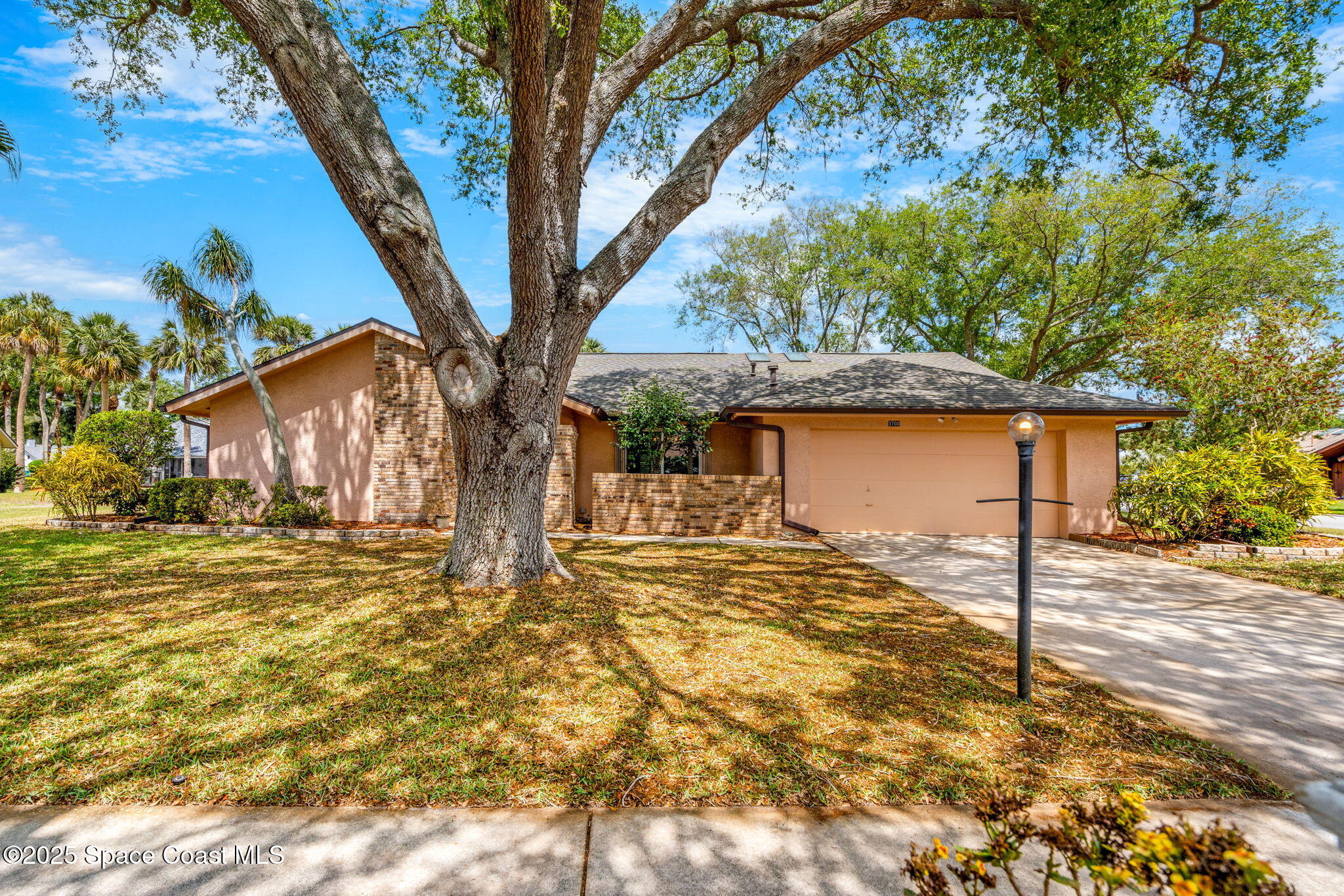 3700 Red Duck Place Melbourne, FL 32934 - Photo 45 of 47 a view of a house with a large tree