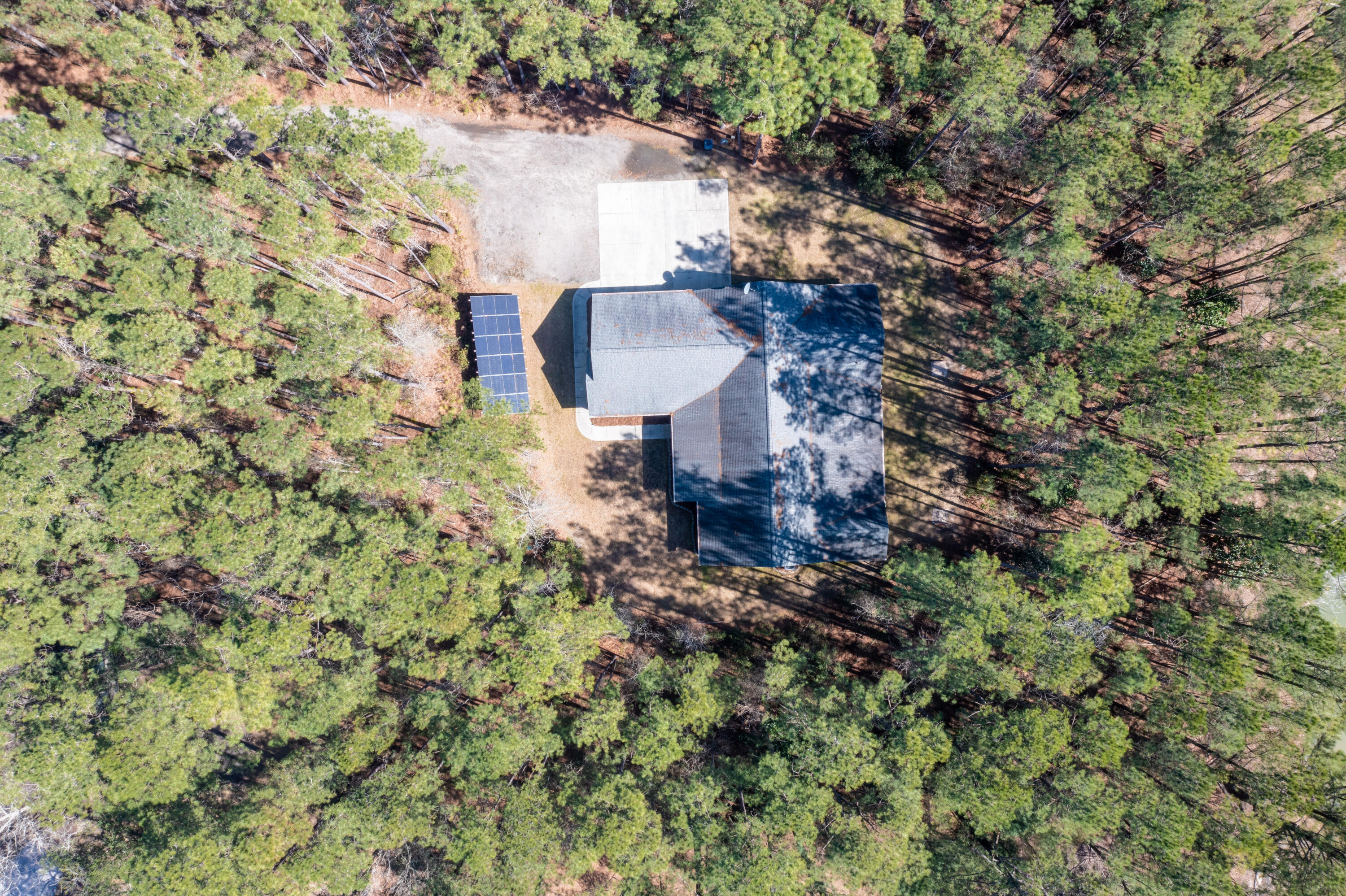 734 East Butternut Road Summerville, SC 29483 - Photo 65 of 71 butternut5