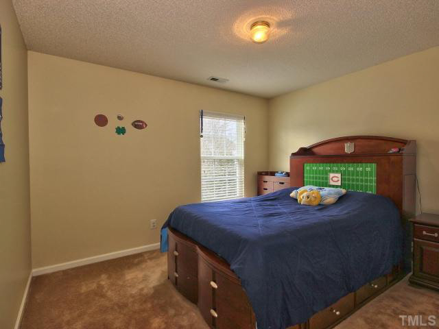 317 Grassy Point Road Apex, NC 27502 - Photo 17 of 25 Gallery Image 17
