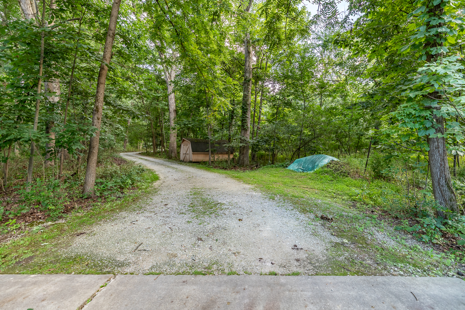 3530 East Challas Entrance Crete, IL 60417 - Photo 50 of 60 a view of a field with trees in the background
